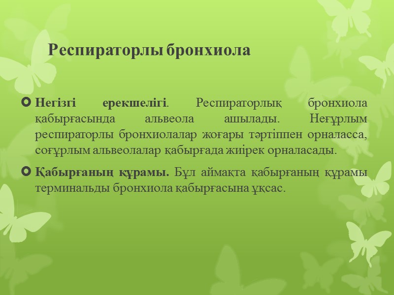 Респираторлы бронхиола Негізгі ерекшелігі. Респираторлық бронхиола қабырғасында альвеола ашылады. Неғұрлым респираторлы бронхиолалар жоғары тәртіппен